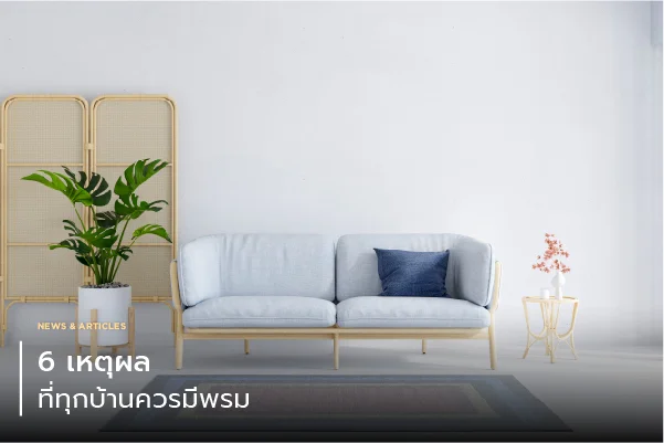 6 เหตุผล ที่ทุกบ้านควรมีพรม
