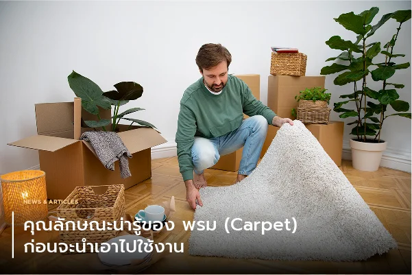 คุณลักษณะน่ารู้ของพรม Carpet ก่อนจะนำเอาไปใช้งาน