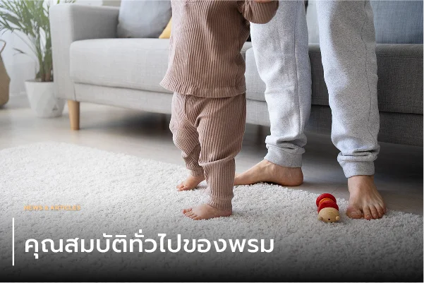 คุณสมบัติทั่วไปของพรม