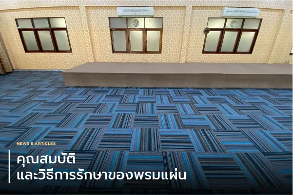 คุณสมบัติและวิธีการรักษาของพรมแผ่น