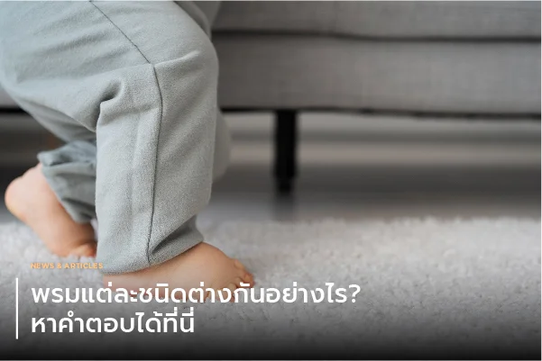 พรมแต่ละชนิดต่างกันอย่างไร? หาคำตอบได้ที่นี่