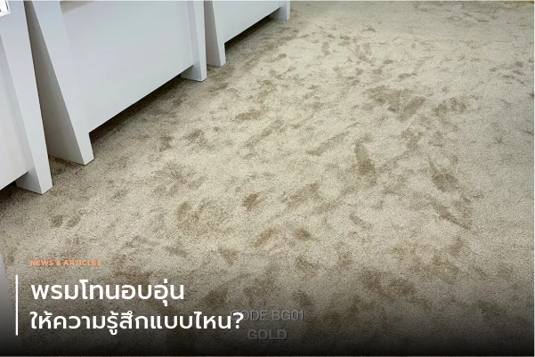 พรมโทนอบอุ่น ให้ความรู้สึกแบบไหน